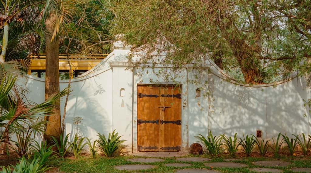 Timber garden door in a white boundary wall