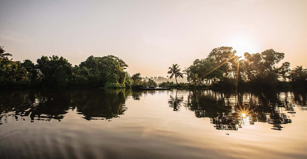Kayal Island Retreat, Alleppey, photo 2