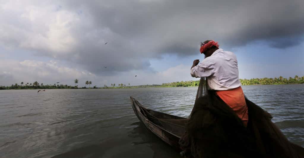 Kayal Island Retreat, Alleppey, photo 3
