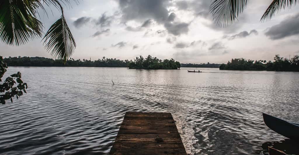 Kayal Island Retreat, Alleppey, photo 5
