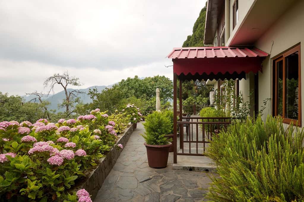Terrace path with hydrangeas above the valley