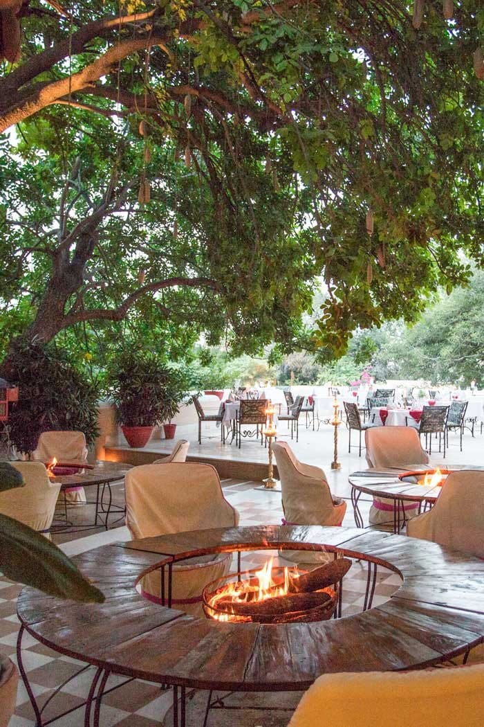 Dining in the courtyard under the trees