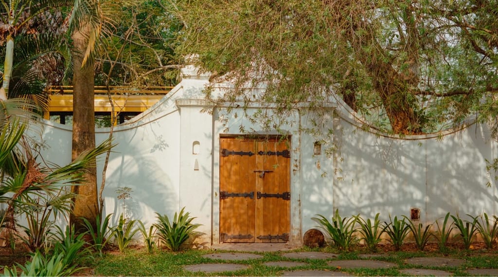 Timber garden door in a white boundary wall
