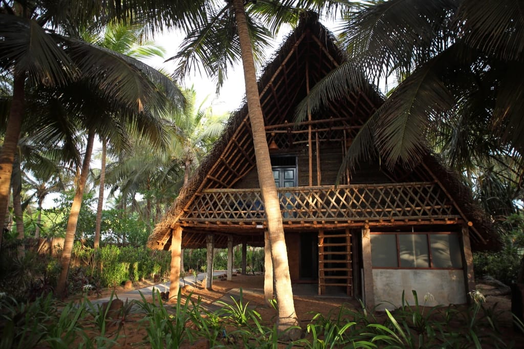 Bamboo and thatch beach house among palms