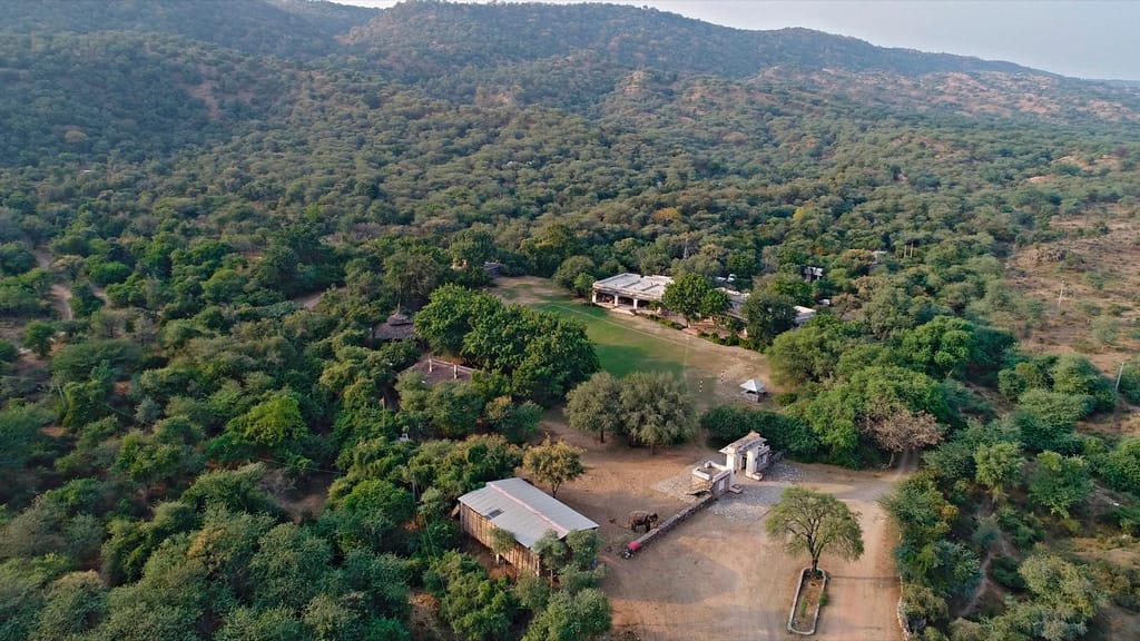 Camp clearing seen from the air