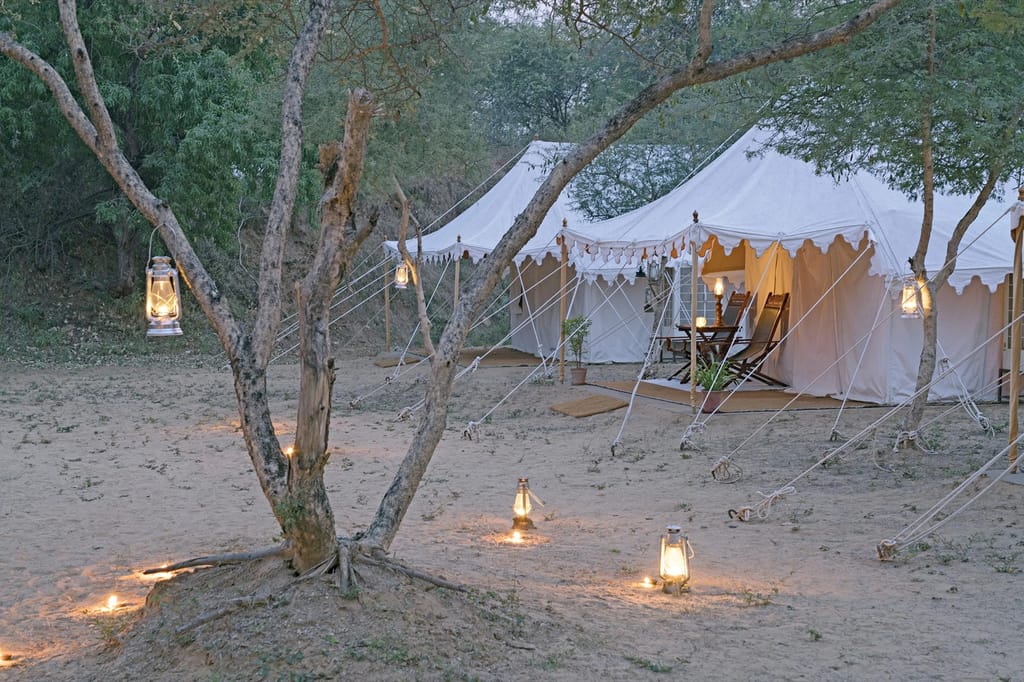 Lantern-lit tents among trees at dusk