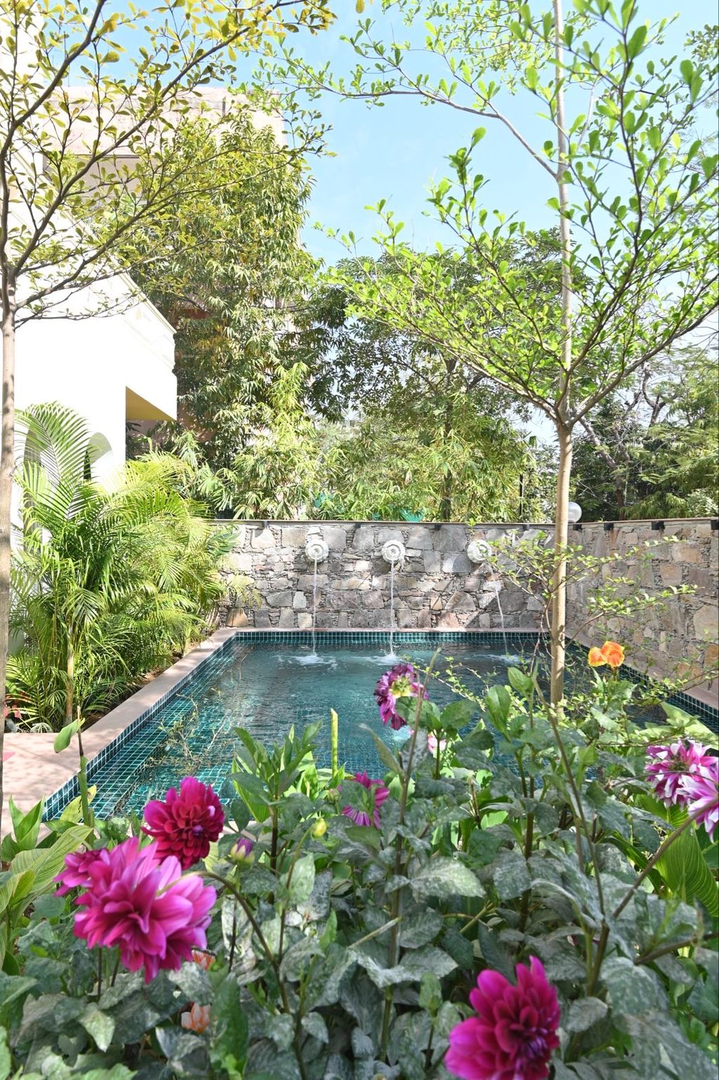 Plunge pool edged with flowering plants