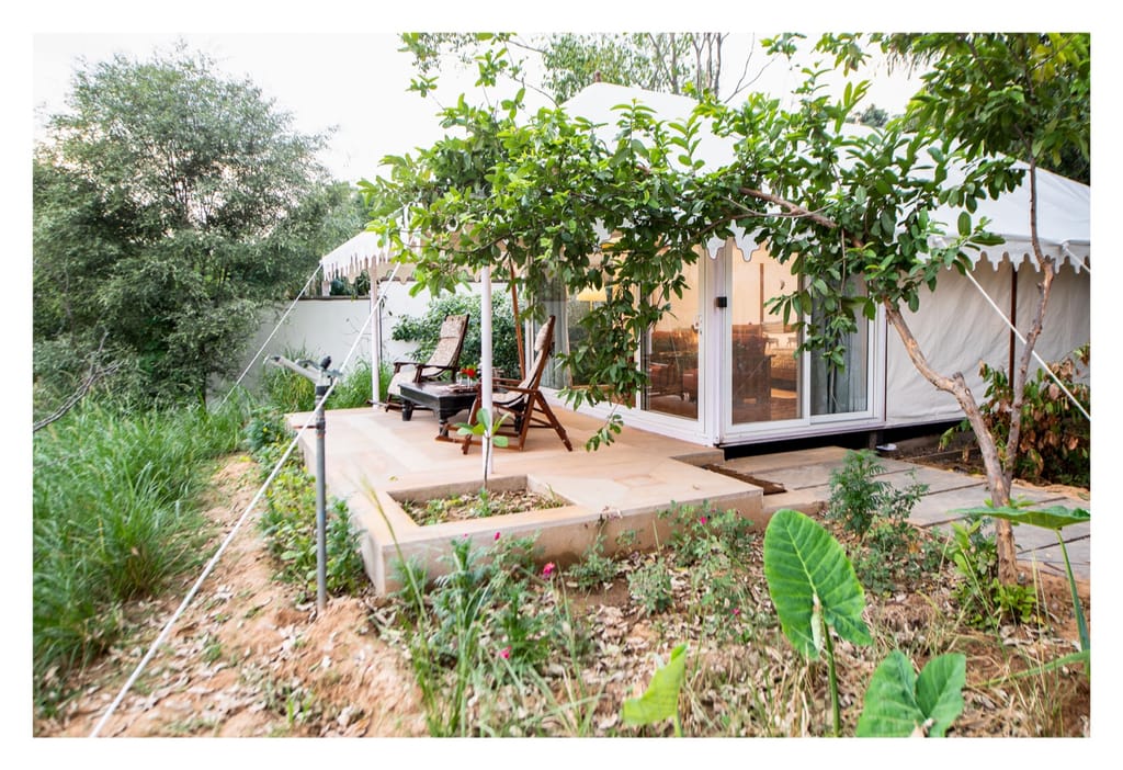 Tented cottage on a raised deck in grassland