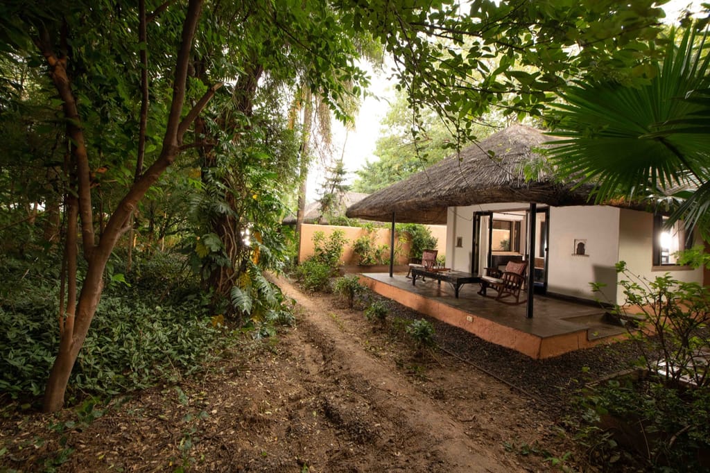 Thatched cottage along a wooded path