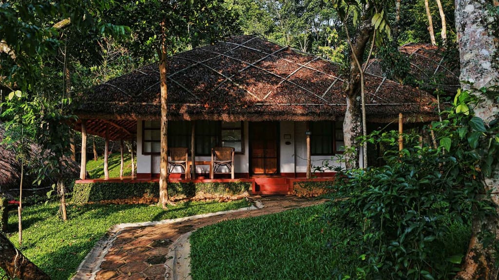 Thatched cottage with verandah and cane chairs