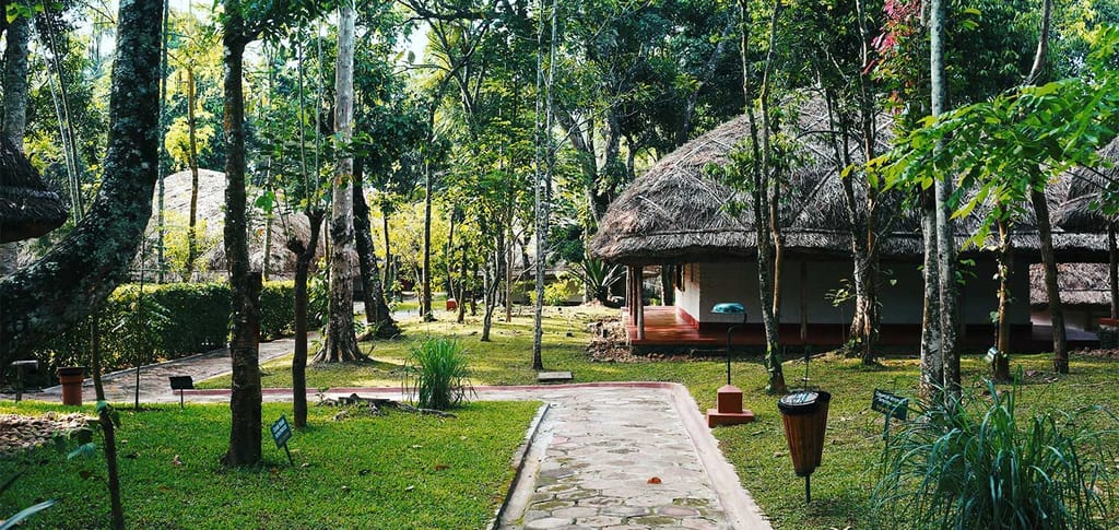 Stone path running between cottages under forest trees