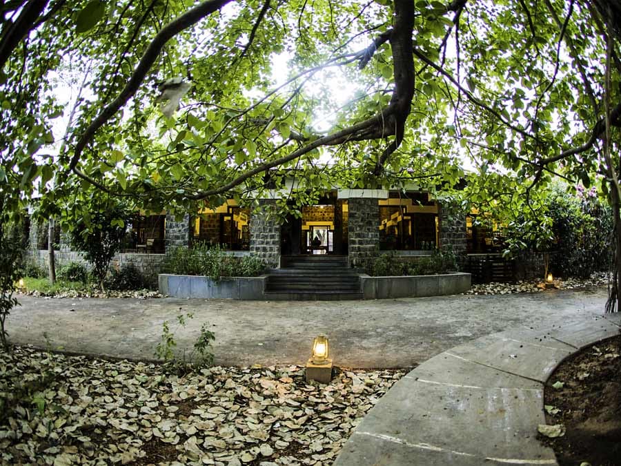 The lodge lit at dusk, seen through the trees