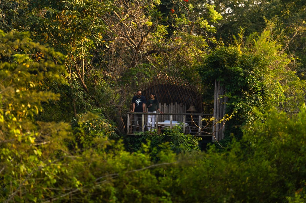 The resort set within dense jungle forest at Kabini