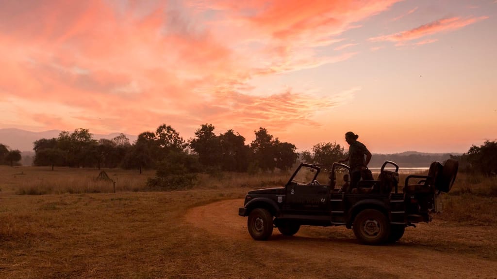 A gypsy and its naturalist on the meadow at first light, water and hills behind, Reni Pani Jungle Lodge, Satpura