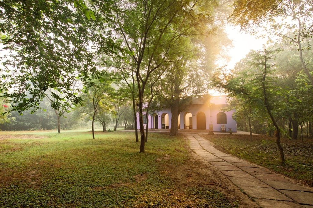 Paved path through wooded grounds leading to the arched lodge building at dawn at Mela Kothi – Chambal Safari Lodge, Chambal
