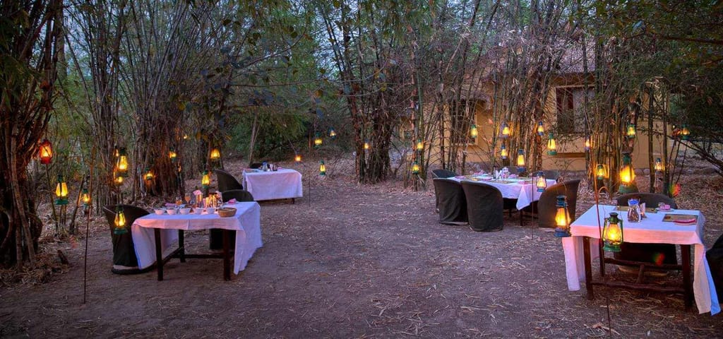 Lantern-lit dinner tables set among bamboo at dusk at Jim's Jungle Retreat, Corbett