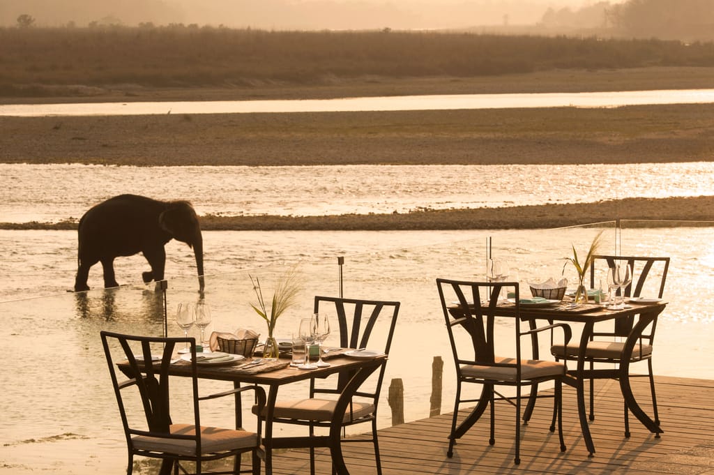 Dining in the wild, outdoor dining set-up