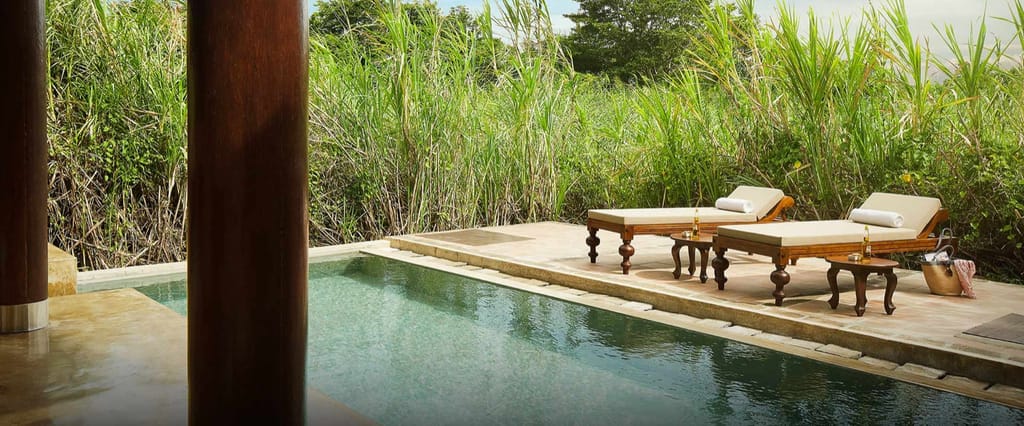 Forest Dwelling private plunge pool with wooden sun loungers edged by tall grasses at Jetwing Vil Uyana, Sigiriya