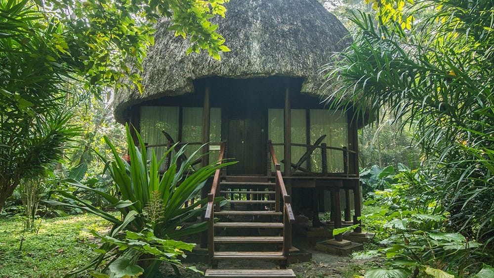 Nicobari Villa on stilts with deep thatched roof and wooden steps surrounded by jungle at Barefoot at Havelock, Havelock