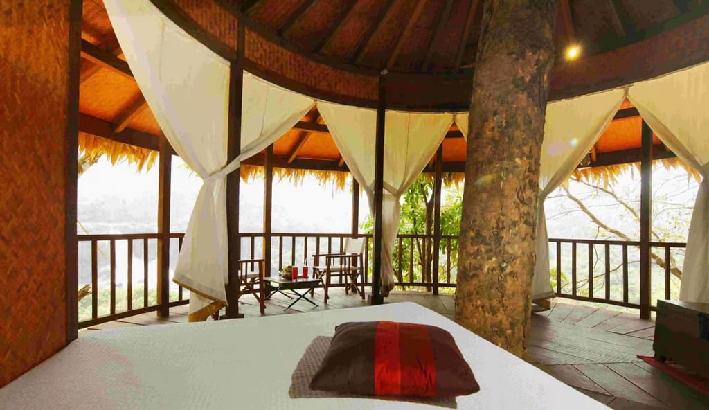 Tree House interior with bed, white drapes, thatched conical roof and a living tree trunk rising through the room, Rainforest Athirapally, Athirappilly