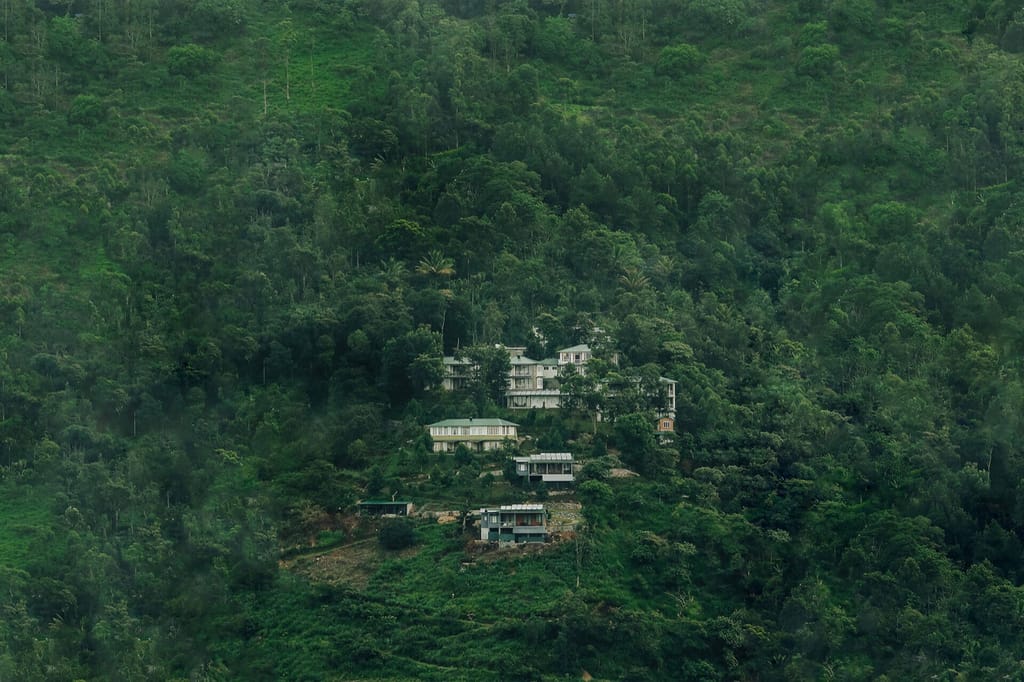 Resort buildings nestled on a densely forested hillside at Spice Tree Munnar, Munnar