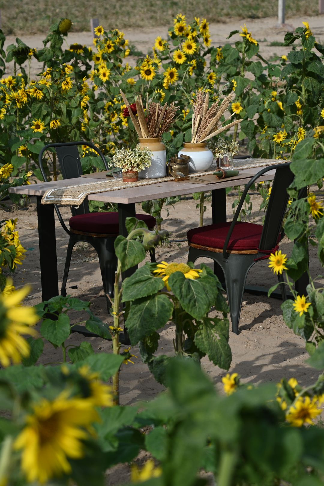 One Michelin Key, and the nine-course dinner in the orchard inside the price., Mharo Khet · Jodhpur