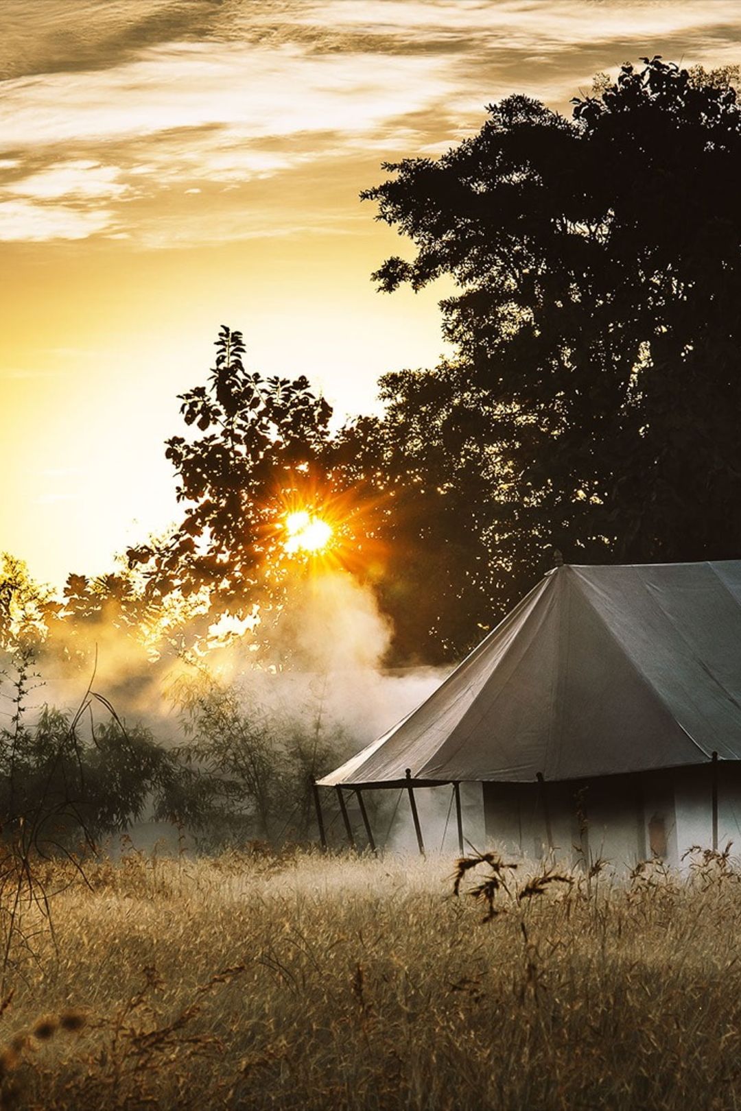 Jamtara Wilderness Camp, Pench