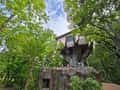 A treehouse at Tathastu Pench, raised among the trees