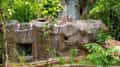 The cave rooms at Tathastu Pench, rock-faced walls among bamboo