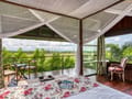 Tree House Vineyard View