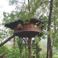 Tree house