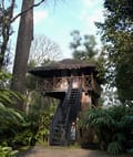 Tree House