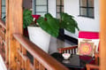 First-floor terrace of a Roof Garden Suite at The Malabar House with wooden balustrade and potted plants