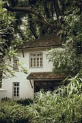 Garden cottage at Old Harbour Hotel, white walls and tiled roof among trees and ferns