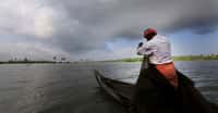 Kayal Island Retreat, Alleppey, photo 3
