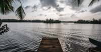 Kayal Island Retreat, Alleppey, photo 5