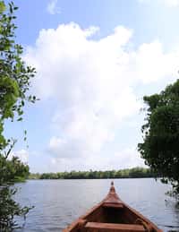 Kayal Island Retreat, Alleppey, photo 6