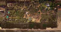 Aerial view of the wooded estate down to the sea