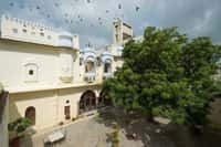 Fort courtyard seen from a gallery, painted white balconies and a large tree, birds overhead