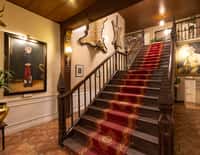 Staircase with red runner and mounted trophies