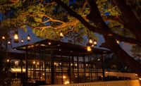 Outdoor tables under a lit tree