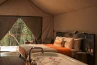 KAAV Safari Lodge, Kabini, photo 13