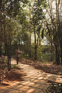KAAV Safari Lodge, Kabini, photo 10