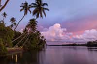 Cranganor History Cafe and Riverside Chateau, Kochi, photo 13