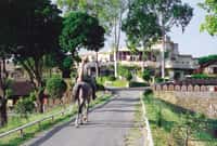 Rider on the drive past the lodge