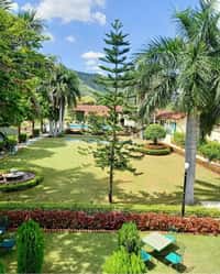 Lawns and gardens with the pool beyond