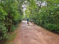 A cycle track through the trees on the Tathastu Pench estate