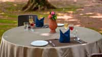 A table laid under the banyan tree at Tathastu Kanha