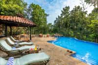 The pool at Kanha Earth Lodge among mahua trees