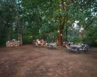 A bush dinner laid under the trees at Kanha Earth Lodge